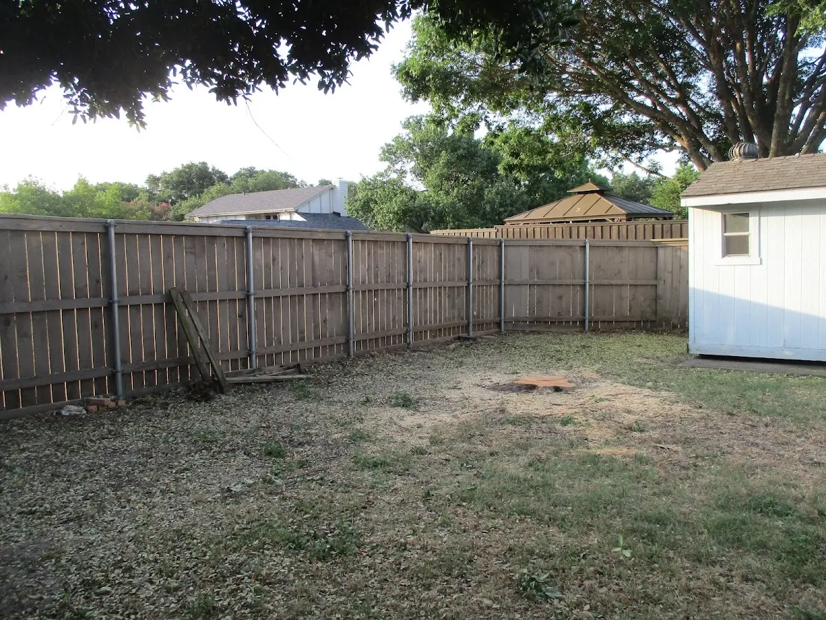 Cleared yard after professional tree removal in Ocean Gate