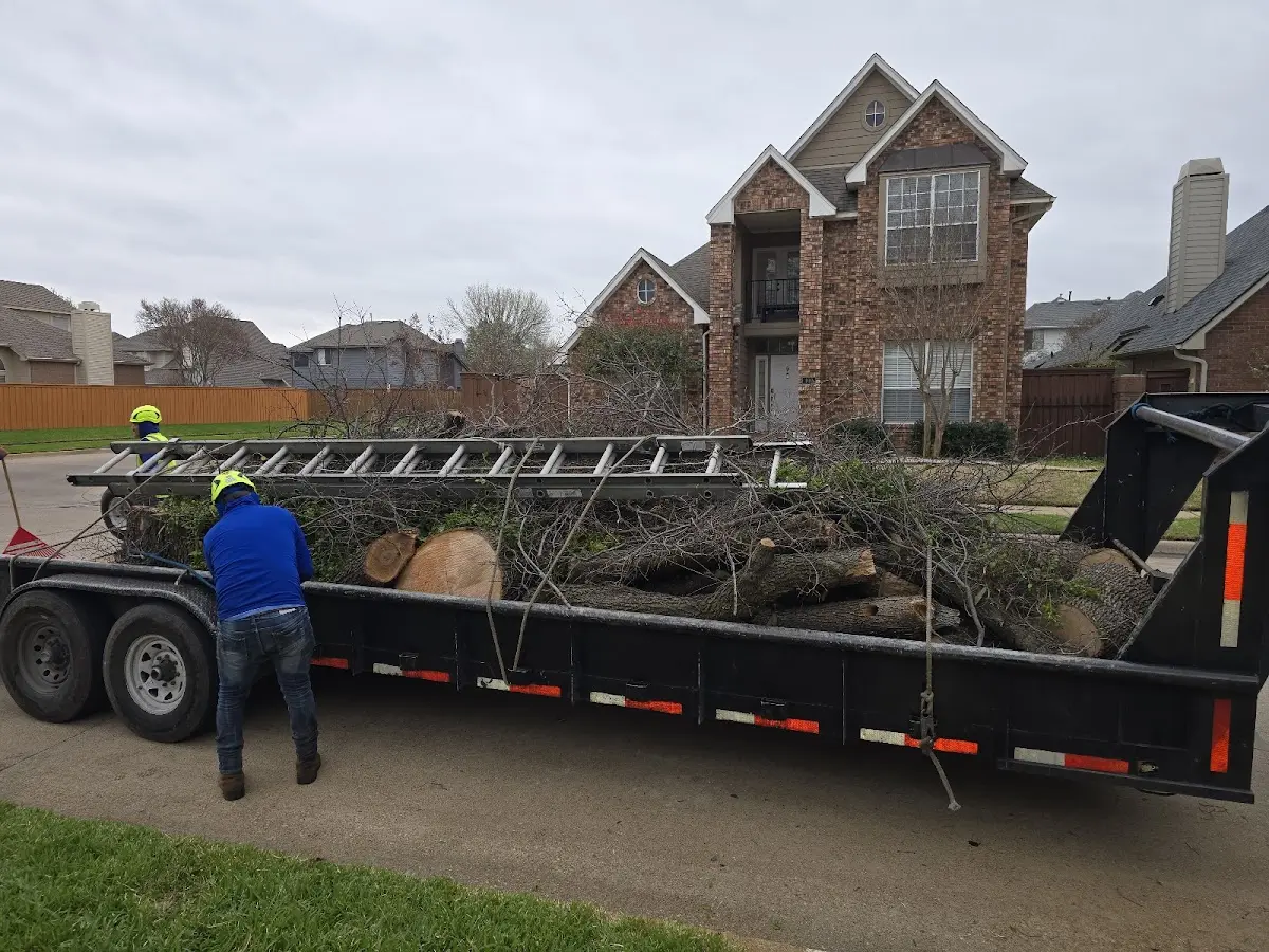 Expert Lot Clearing with proper safety equipment in Ocean Gate